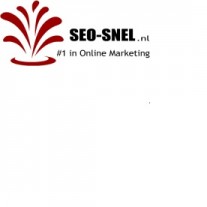online marketing bureau SEO SNEL