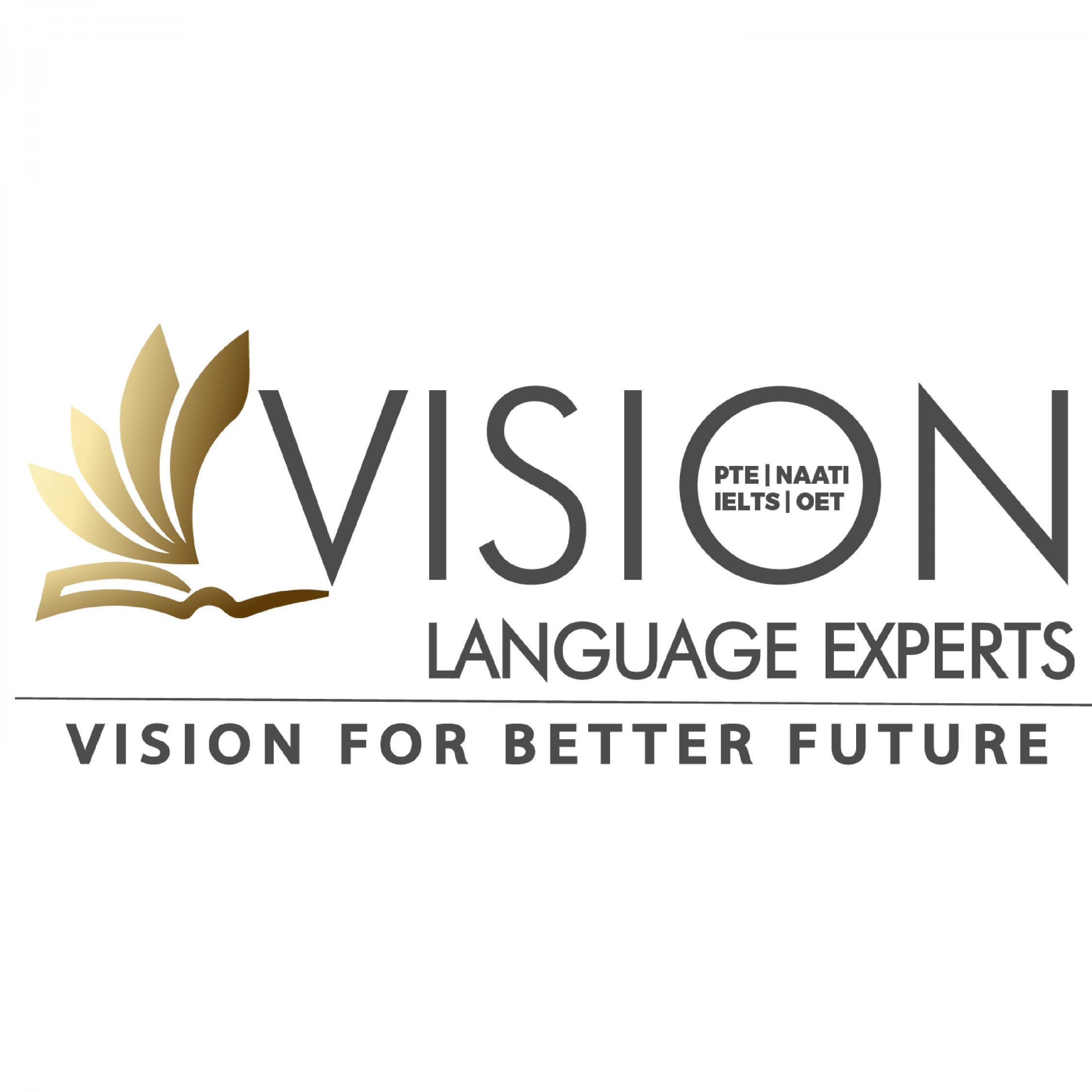 Vision Language Experts 