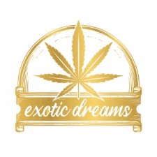 Exotic-Dreams