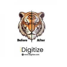 idigitize
