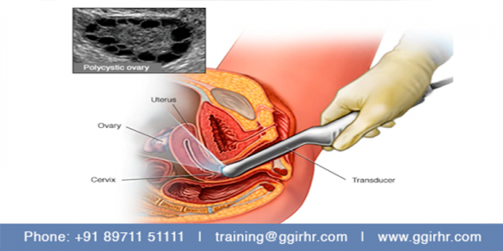 https://www.ggirhr.com/edu-course/ultrasound-scanning-basic/