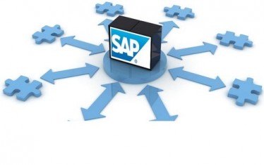 SAP development