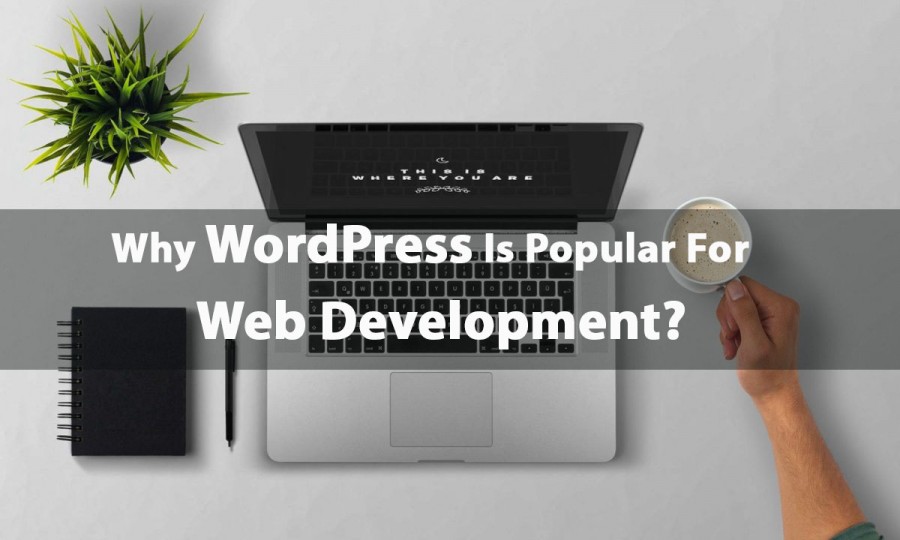 WordPress web development,software development,web development