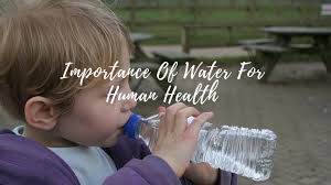 importance of water in our daily life