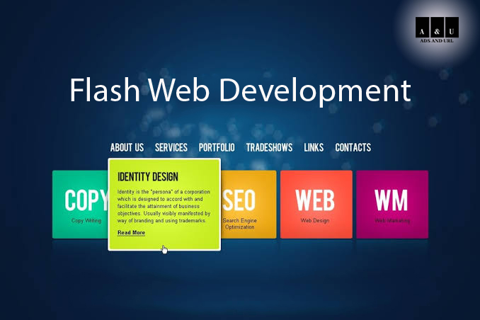 Flash Web Designing