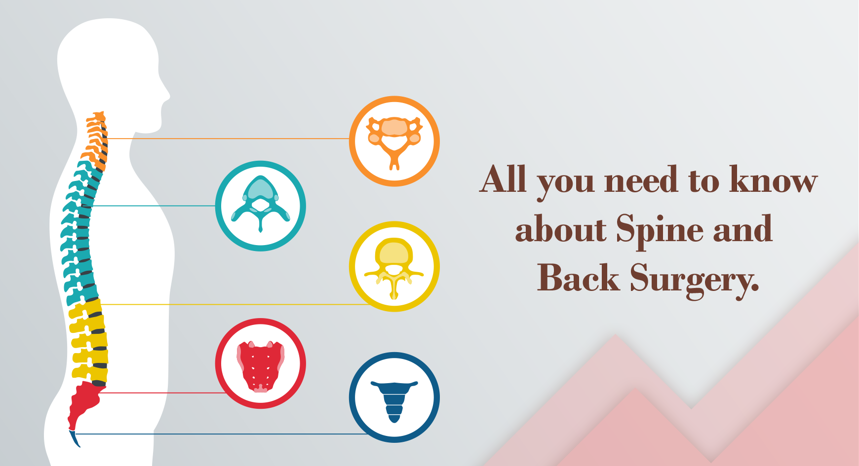 All You Need To Know About Spine And Back Surgery