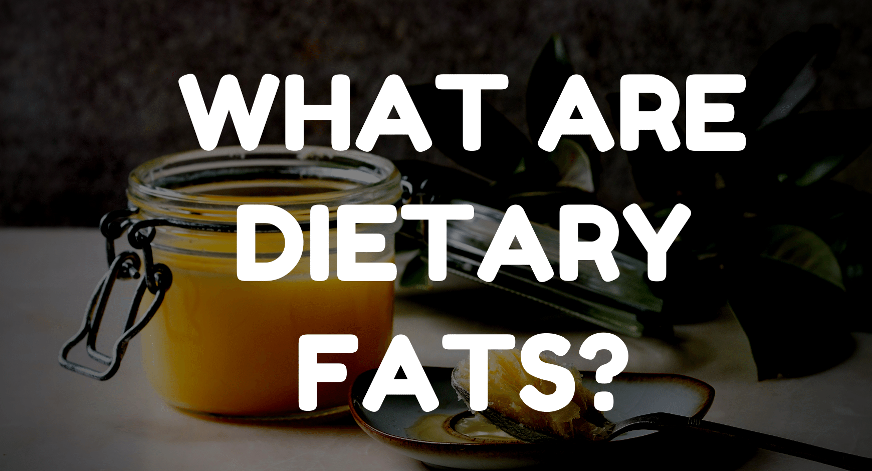 what-are-dietary-fats-and-why-are-they-important-to-become-healthy