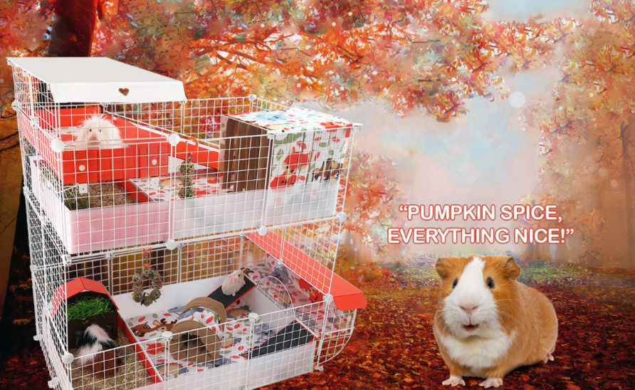 bedding for guinea pigs, c&c cages