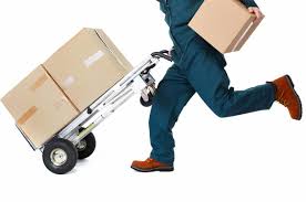 commercial shipping services Apopka FL 