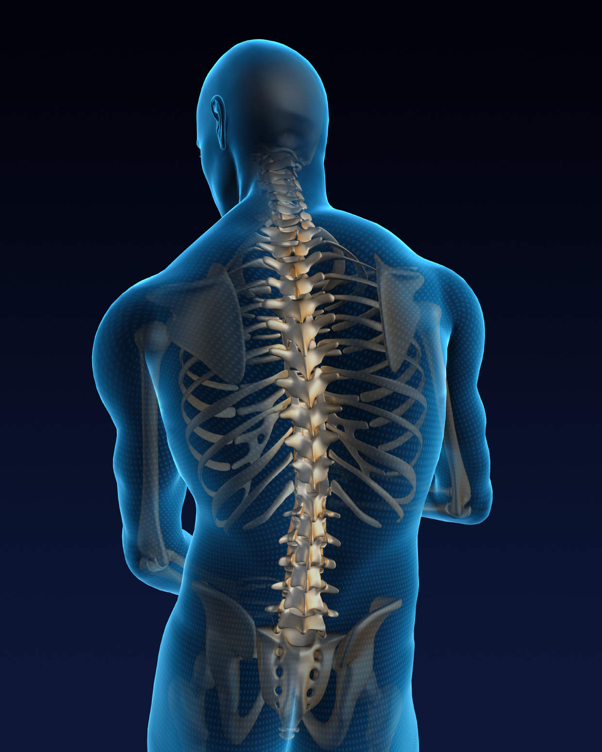 Spine Surgical Treatment, Spine Specialist