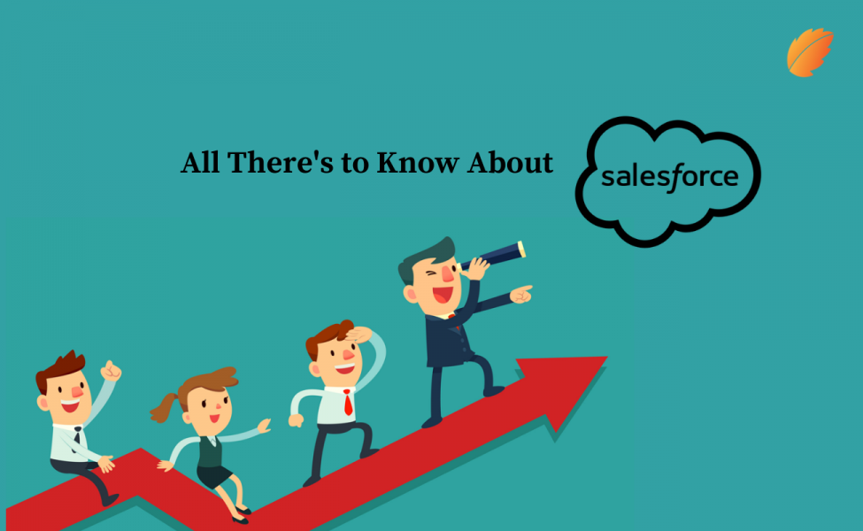 Salesforce customer application development