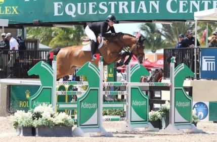 andalusian horse