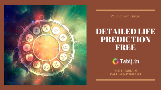 detailed-free-life-prediction