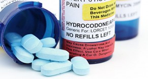 Hydrocodone Ibuprofen