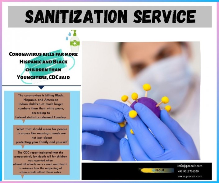 sanitization service