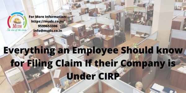 Everything An Employee Should Know For Filing Claim If Their Company Is Under CIRP