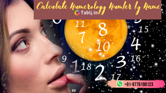 numerology-predictions