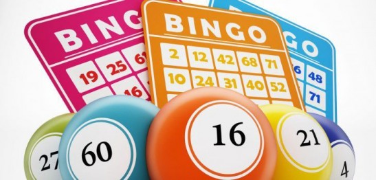 Bingo Sites with Fluffy Favorites