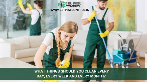 What Things Should You Clean Every Day, Every Week and Every Month?