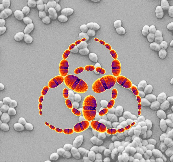 Global Botulinum Neurotoxins Market, Botulinum Neurotoxins Market, Botulinum Neurotoxins, Botulinum Neurotoxins Market Comprehensive Analysis, Botulinum Neurotoxins Market Comprehensive Report, Botuli