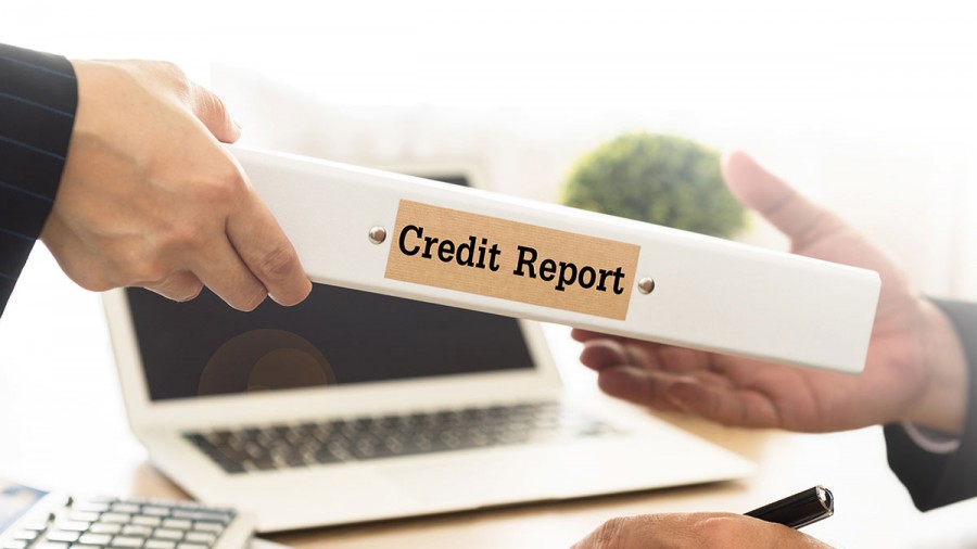  credit report for businesses