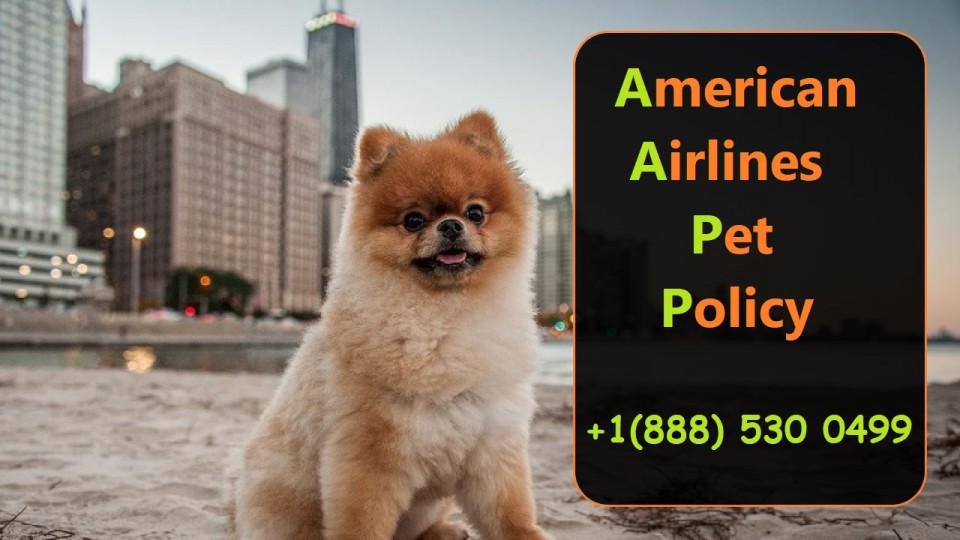 American Airlines Reservations Help Desk Number +1(888)530-0499 