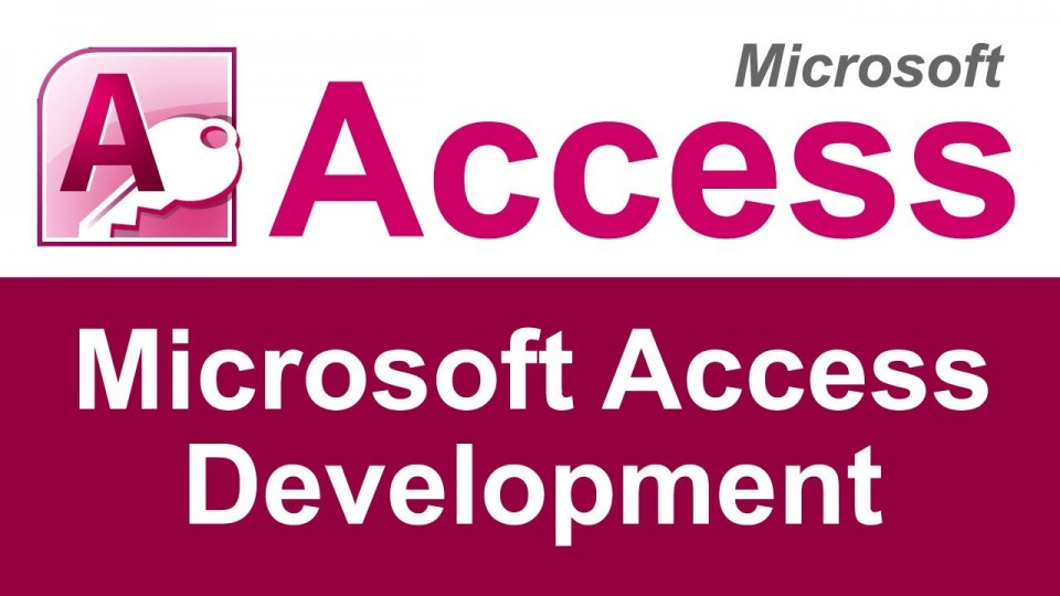 MS access consultants 
