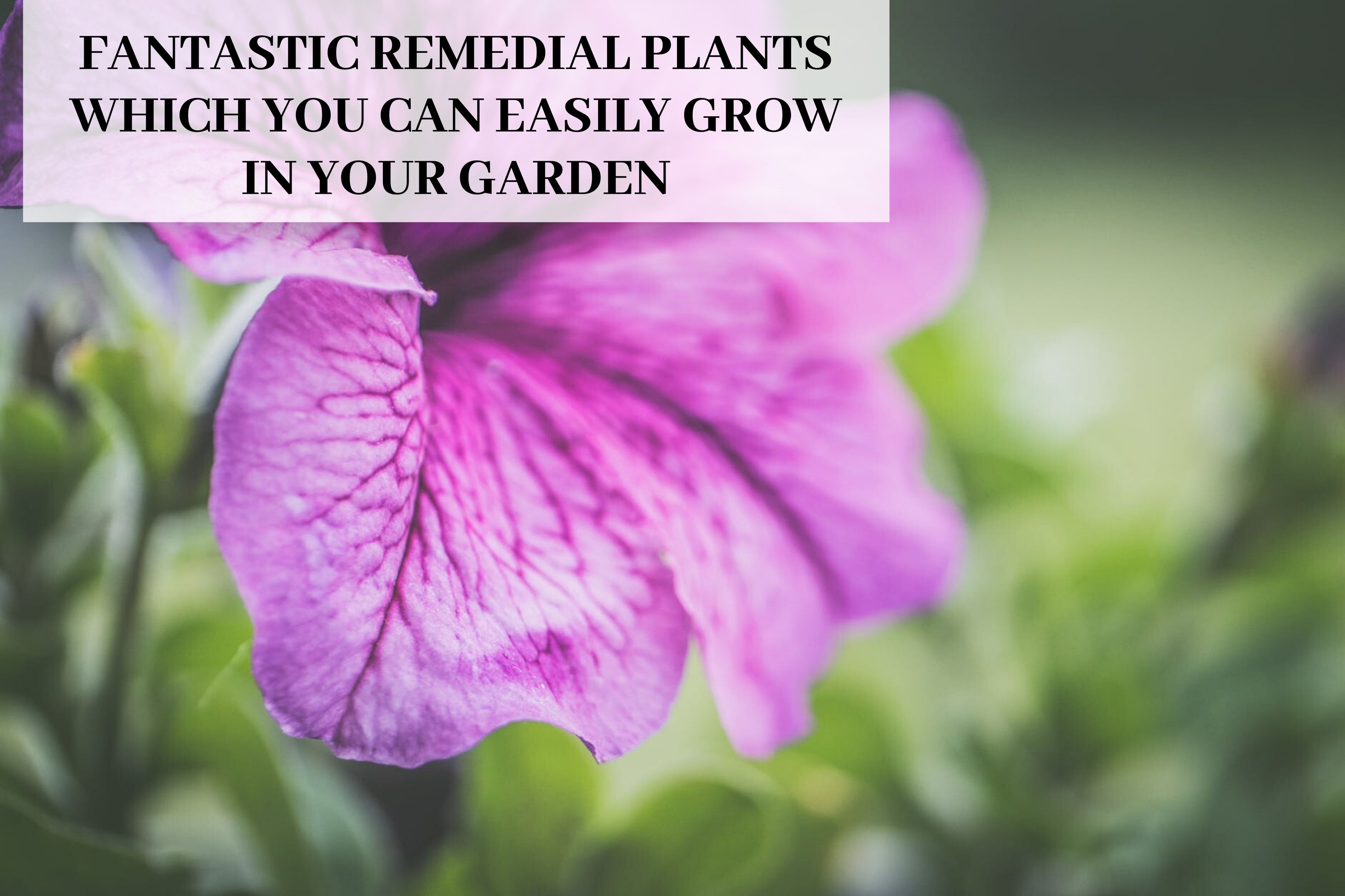 Remedial Plants