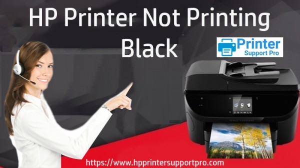 HP Printer Not Printing Black