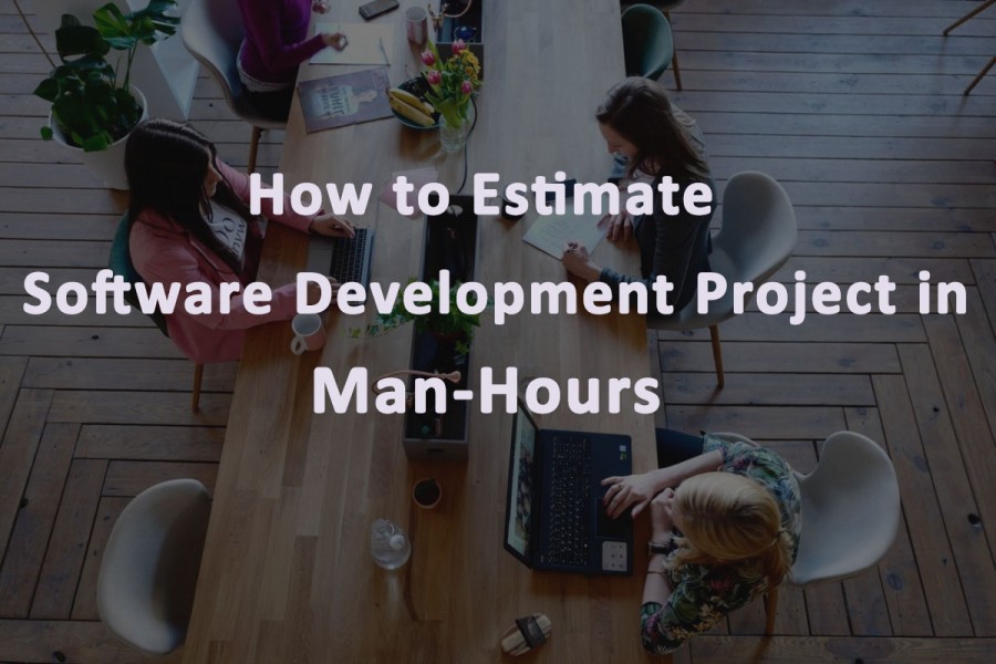 software development, software estimate