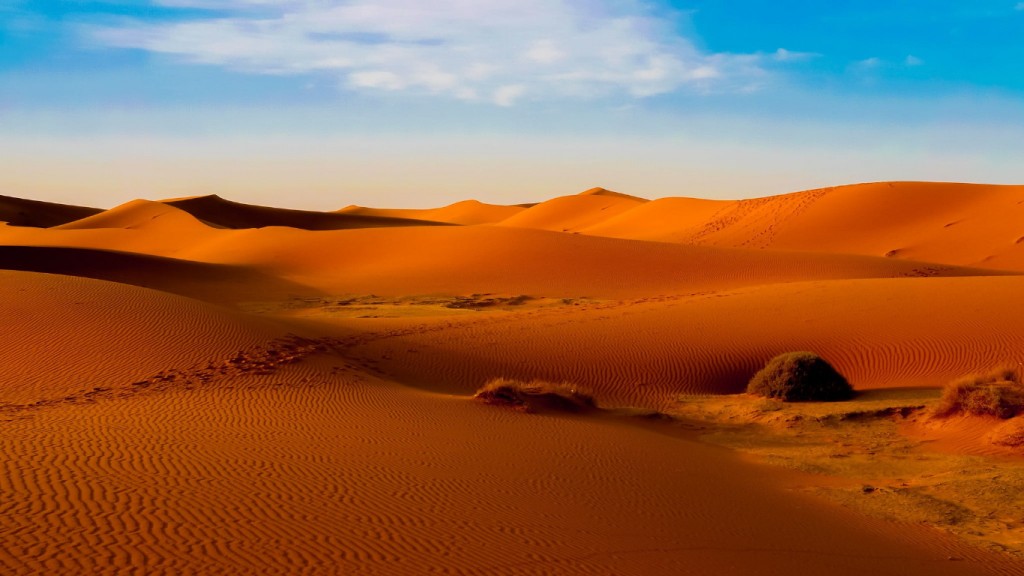 Desert safari Dubai