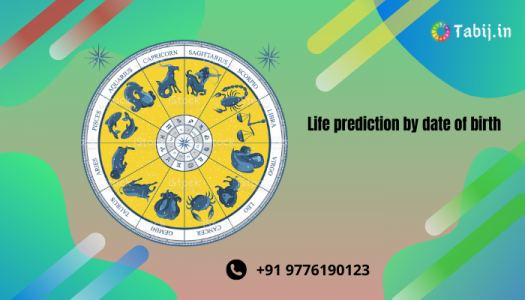 life-prediction-tabij.in_