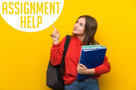 assignment help