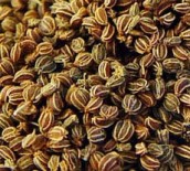 Global Celery Seed Extract Solid Market, Celery Seed Extract Solid Market, Celery Seed Extract Solid, Celery Seed Extract Solid Market Comprehensive Analysis, Celery Seed Extract Solid Market Comprehe