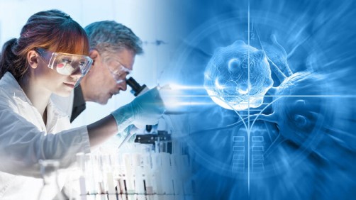 Clinical Research Courses - Fusion Technology