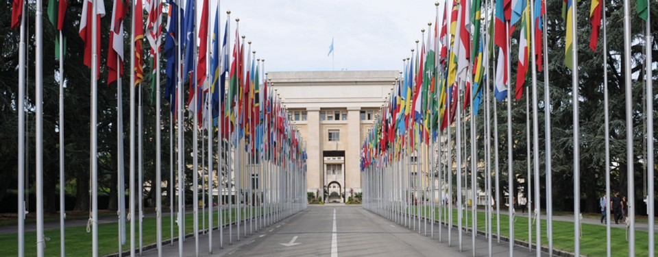 international relations and diplomacy degree, geneva school of diplomacy and international relations fees