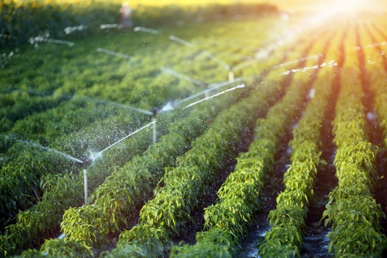Mechanized Irrigation Systems Market 