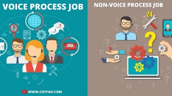 voice process job