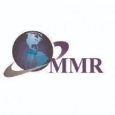 Global Flushing Systems Market