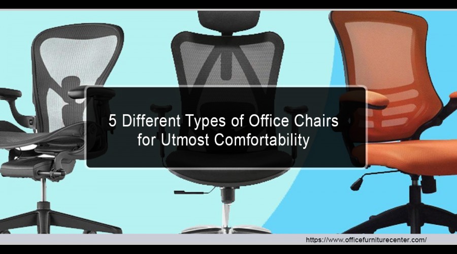 5 Different Types of Office Chairs for Utmost Comfortability 