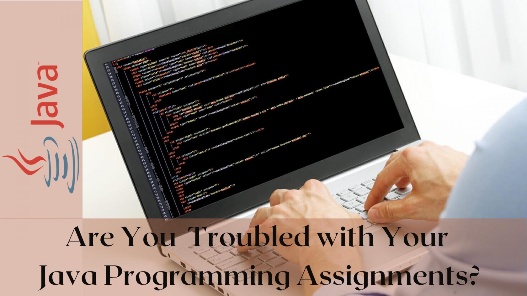 java programming help, java programming assingment