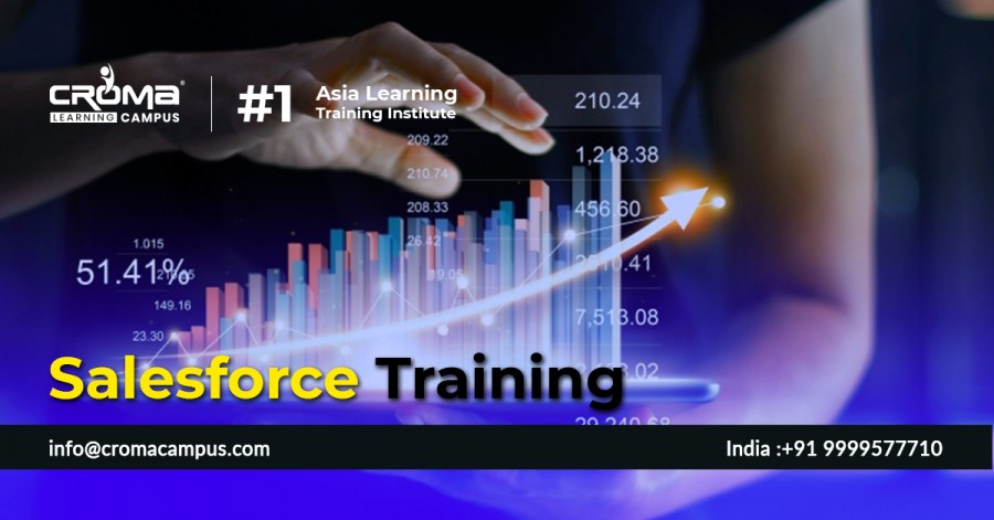 Salesforce Online Training, Salesforce Classes in Noida, Croma Campus
