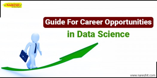 Guide For Data Science, Career Opportunities in Data Science