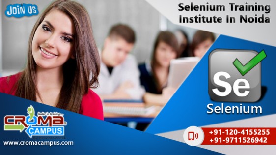 selenium training