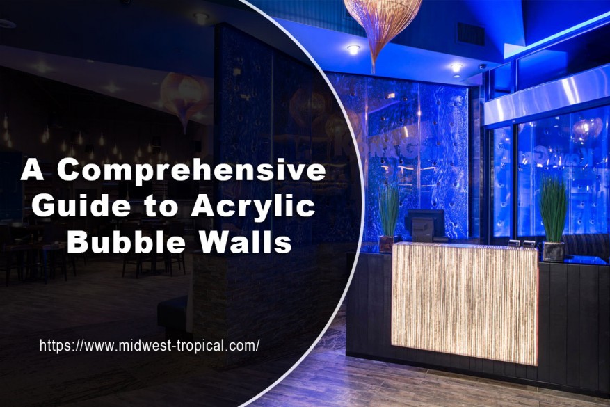 A Comprehensive Guide to Acrylic Bubble Walls