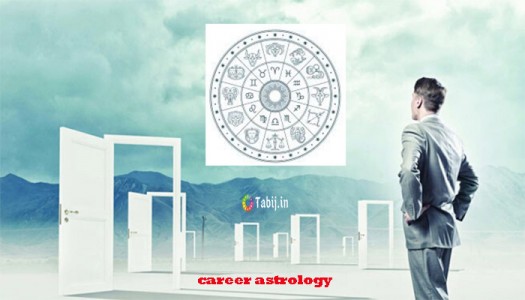 career astrology-tabij.in