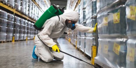 pest control,fumigation,pest control service