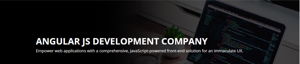 angular js development services