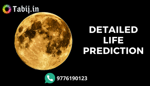 detailed life prediction free