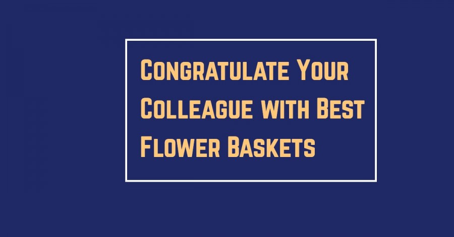 congratulation flowers